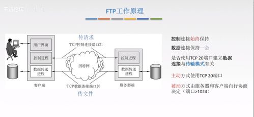 計算機網絡應用層核心技術 從C/S到P2P，從DNS到HTTP